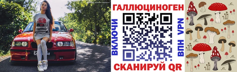 купить наркоту  Тулун  Галлюциногенные грибы мицелий 